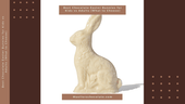 Best Chocolate Easter Bunnies for Kids vs Adults (What to Choose) - Mueller Chocolate Co