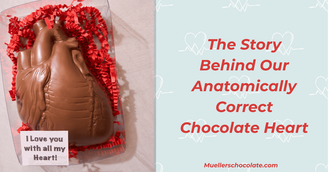 The Story Behind Our Anatomically Correct Chocolate Heart - Mueller Chocolate Co