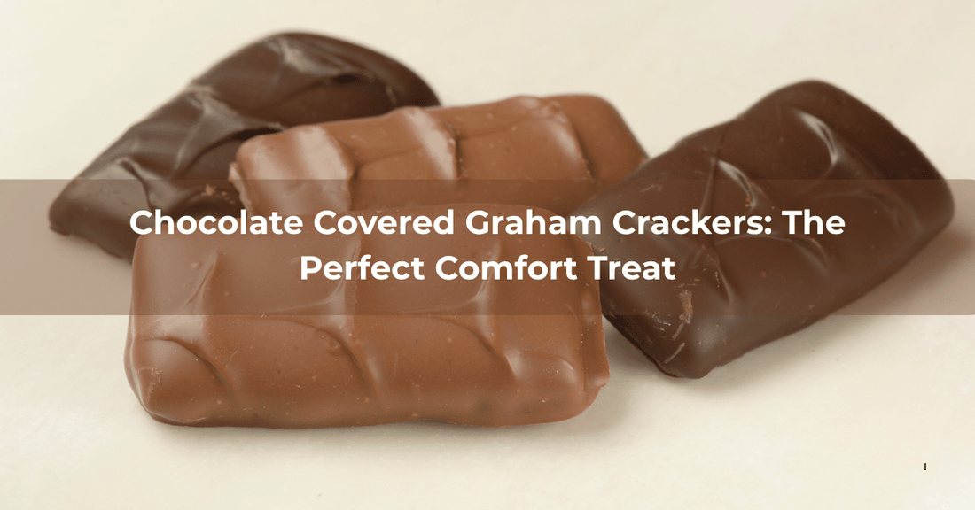 Chocolate Covered Graham Crackers: The Perfect Comfort Treat - Mueller Chocolate Co