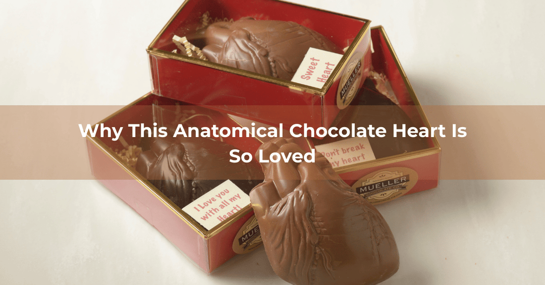 Why This Anatomical Chocolate Heart Is So Loved - Mueller Chocolate Co