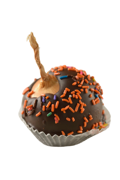 A close-up of a chocolate covered onion with decorative toppings