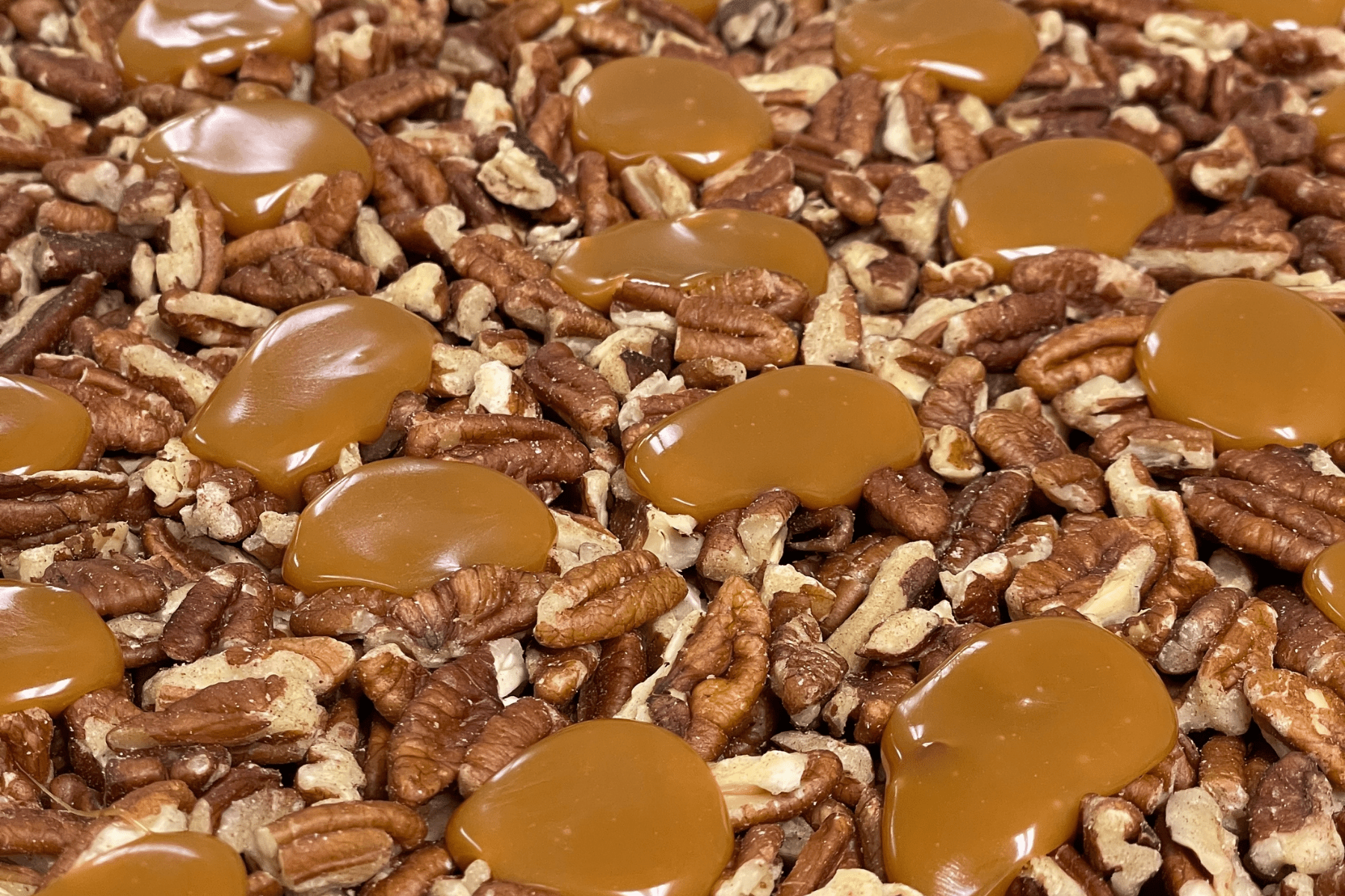 Milk Chocolate Caramel Pecan