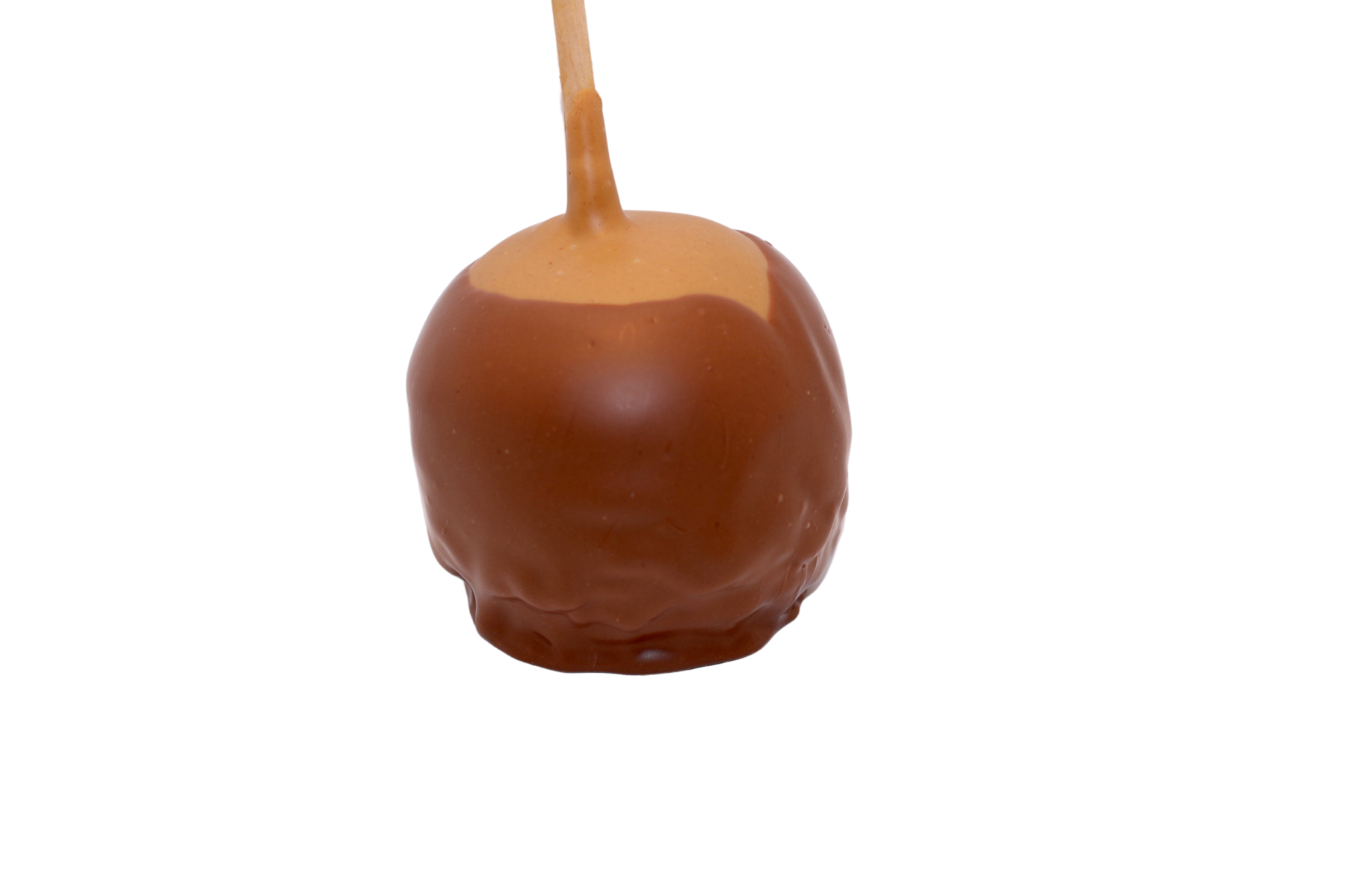 Peanut Butter and Chocolate covered caramel apple