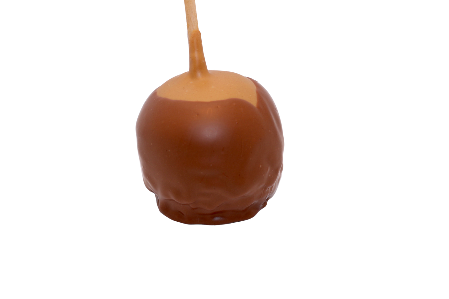 Peanut Butter and Chocolate covered caramel apple